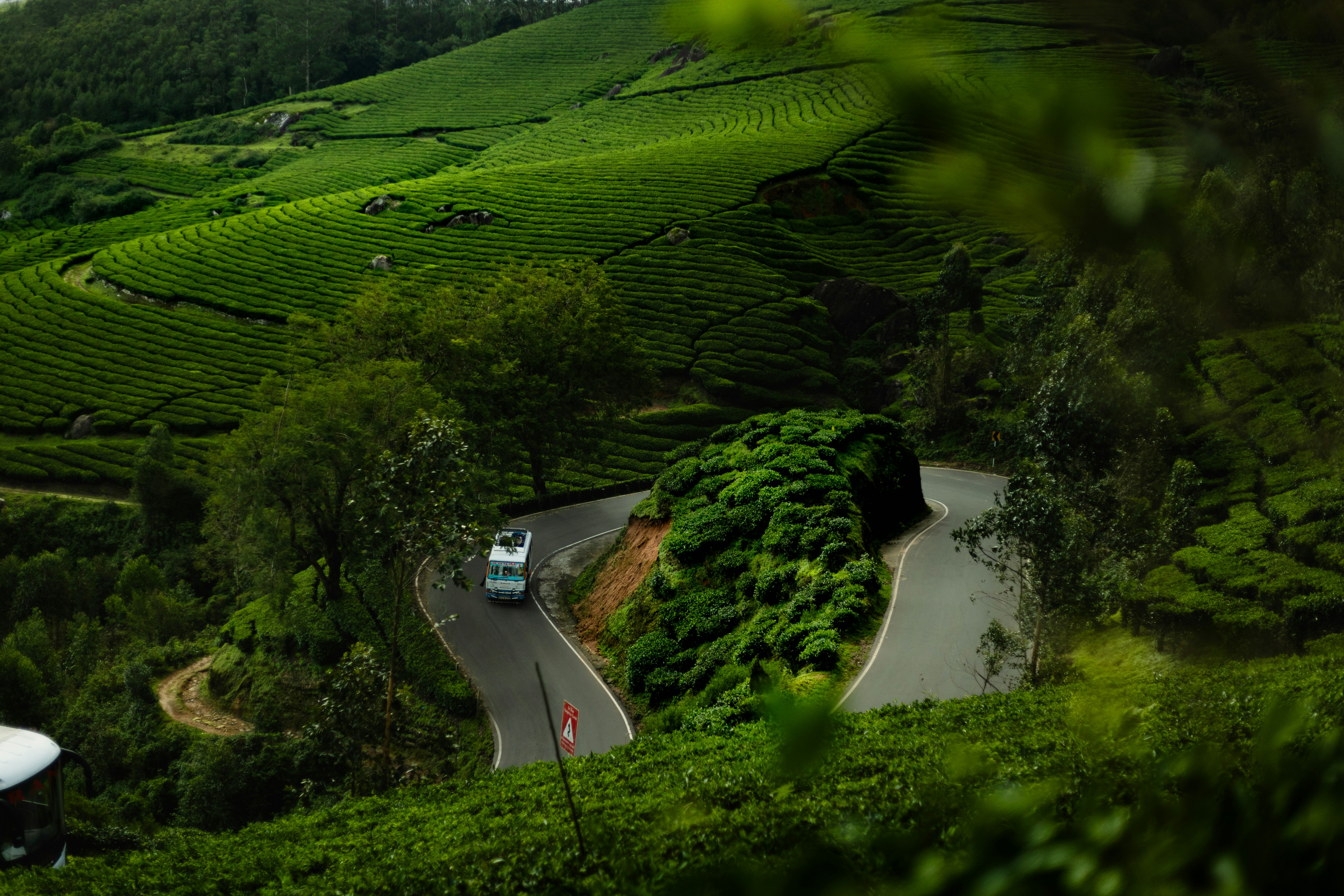 Wayanad Travel Guide - Wildlife, Waterfalls & Tribal Heritage